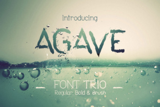 Agave Font Trio: A Designer’s Review