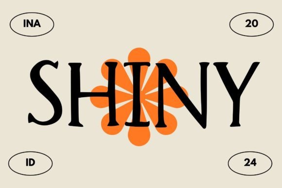Shiny: A Friendly Display Font for Small Business Branding